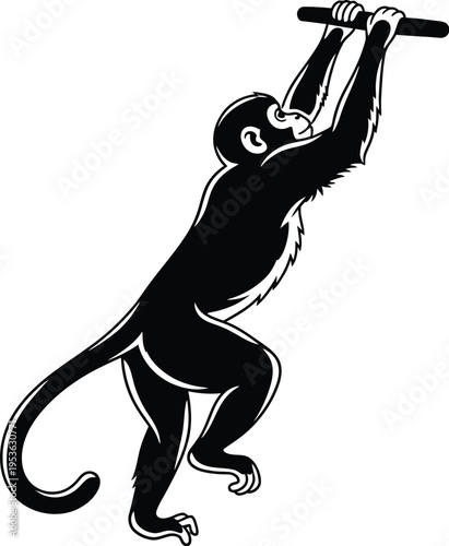 Monkey hanging from a pull up bar