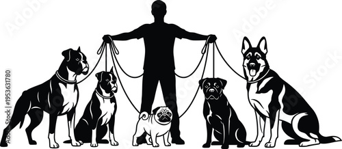 Dog walker with multiple breeds silhouette, pet care service concept, man holding leashes with dogs, animal training, black vector illustration design