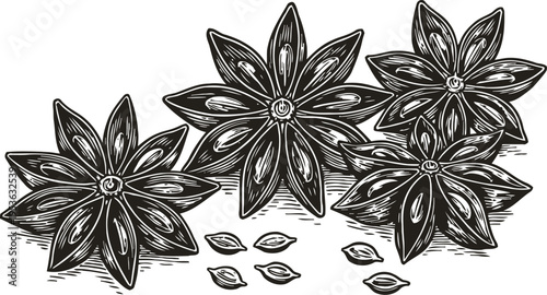 Black and white star anise illustration with seeds aromatic spice for cooking and baking design