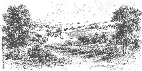 Vintage countryside landscape with trees, hills, and farmland detailed sketch drawing
