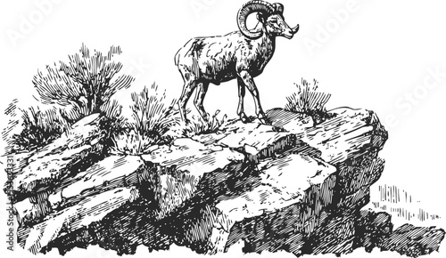 Mountain goat standing on rocky cliff with sparse bushes, wild animal in natural habitat illustration