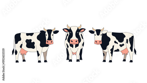 Three black and white Holstein cows standing in different positions against a white background for farm and dairy themes.
