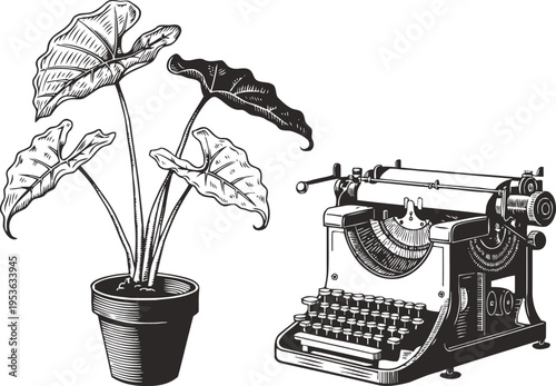 Vintage typewriter and potted tropical plant illustration in black and white