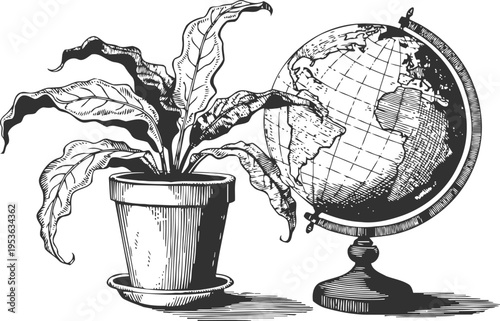 Vintage botanical illustration of potted plant next to detailed globe stand