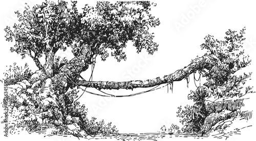 Hand drawn sketch of a wooden suspension bridge connecting rocky terrain with trees