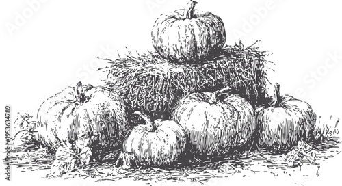 Vintage autumn pumpkins arranged on hay bale with leaves ink sketch