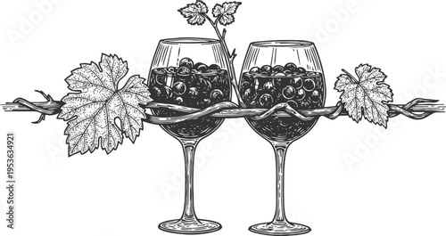 Two glasses of red wine with grapevine and leaves illustration, vintage winery concept drawing