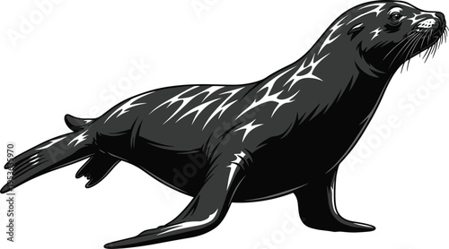 Detailed Sea Lion Illustration Black and White Vector, Marine Mammal Coastal Wildlife Animal Realistic Clipart Design