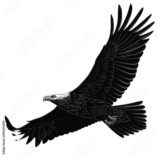 A majestic bald eagle soars with outstretched wings in flight