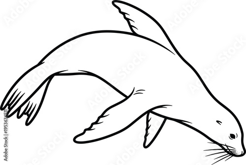 Hand Drawn Seal Line Art Vector Illustration, Marine Mammal Outline Sketch, Ocean Animal Minimal Clipart Design