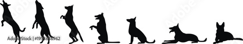 Black silhouette set of German Shepherd dog training jumping sitting and lying down isolated on white background for pet care design