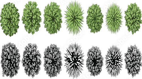 Top view illustration of diverse tree canopies with green foliage and black silhouettes, showcasing botanical variety, landscape design, ecology, and environmental visualization