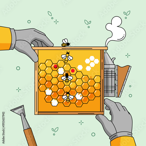 Beekeeper Hands Inspecting a Honeycomb Hive Frame