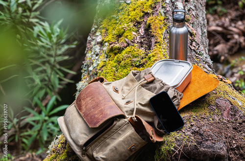 Tableau sur toile A vintage rucksack in a forest