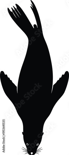 Upside Down Catfish Silhouette Vector Illustration with Detailed Whiskers and Fins Isolated on Clean Background for Design Use