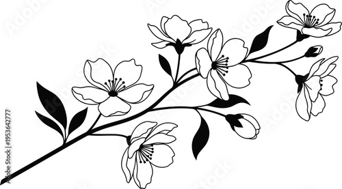 Black and white illustration of a blooming flower branch