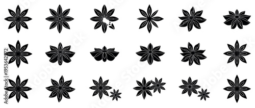 Multiple black graphic star anise pods are depicted in various orientations, some whole and some slightly broken, arranged in a clean, illustrative pattern