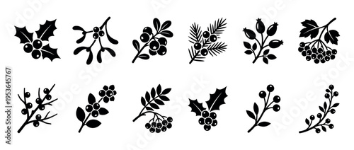 Various black silhouette winter berry branches and leaves are depicted in a flat, iconic style, showcasing festive and natural plant elements with a graphic, minimalist aesthetic