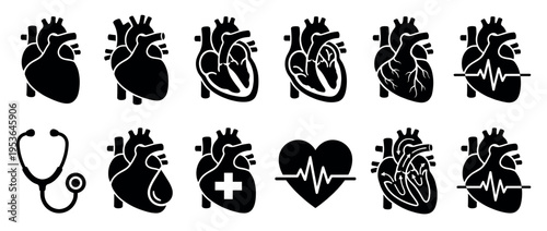 Collection of black human heart anatomy icons and cardiology symbols, featuring detailed internal structures, ECG lines, and a stethoscope in a flat graphic style