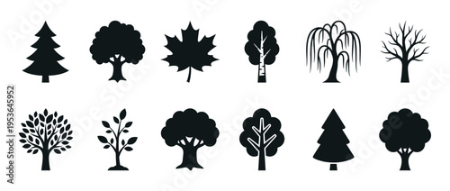 Diverse collection of twelve black silhouette tree icons and a single maple leaf, showcasing various species in a clean, minimalist graphic style