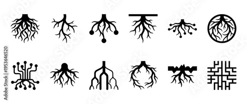 Black silhouette root and network icons collection featuring various organic, abstract, and circuit-like designs, presented in a clean, graphic, and minimalist style