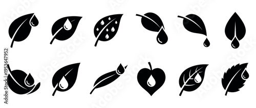 Twelve black silhouette leaf icons with water drops, showcasing various natural shapes, a clean graphic design, and a minimalist aesthetic in a vector style