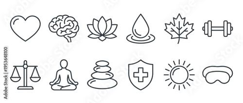 Twelve outline wellness and health icons, featuring heart, brain, lotus, water, leaf, dumbbell, scales, meditation, stones, shield, sun, and sleep mask, in a clean line art style
