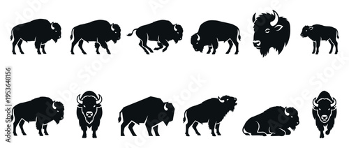 Multiple black bison silhouettes in various dynamic poses and perspectives, showcasing the powerful wild animal in a graphic vector style