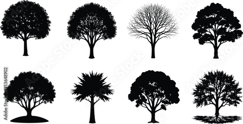 Set of black tree silhouettes including deciduous oak maple and palm species for landscape architecture garden design and nature vector illustrations