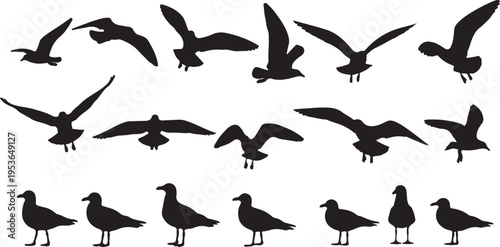 set of silhouettes of birds