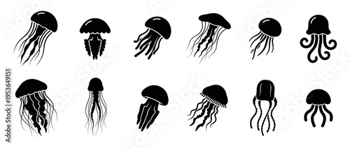 Twelve black silhouette jellyfish icons are presented in a diverse collection, showcasing various tentacle styles and bell shapes in a clean, graphic illustration