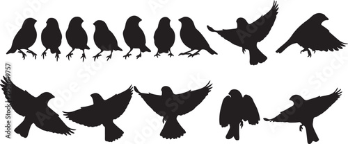 Diverse silhouettes of birds in various poses and states of flight