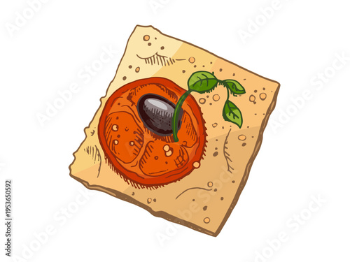 Hand drawn vintage tomato bruschetta on cracker bread with olive and basil italian appetizer illustration
