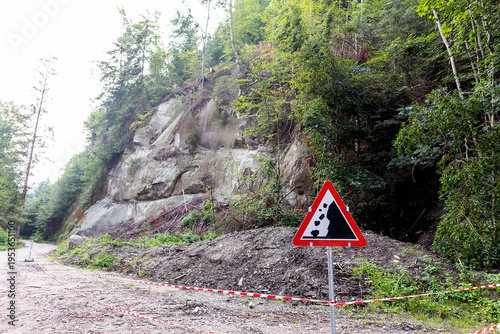 Forest in Germany, landslide