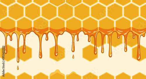 Honey dripping from honeycomb cells slowly 1.