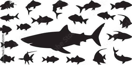 Diverse silhouettes of oceanic fish and predatory shark in black and white