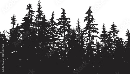 Dense forest silhouette of tall coniferous pine and fir trees with natural jagged skyline, perfect for nature graphics, landscape design, and environmental illustration projectsb