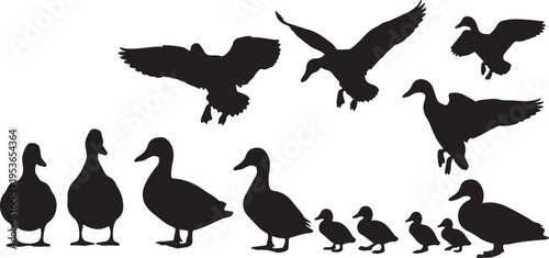 Diverse silhouettes of ducks and geese in various postures and stages of life