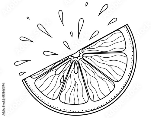 Minimalist Line Art Illustration of a Fresh Citrus Slice with Juice Splashes, Vector Sketch of Orange or Lemon Fruit Segment Isolated on White Background for Healthy Design.