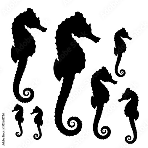 Black seahorse silhouettes collection for nautical logo and branding