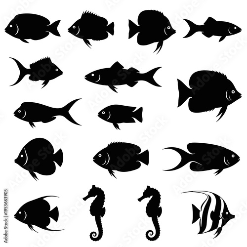 Black silhouettes of sharks fish and seahorses for marine design