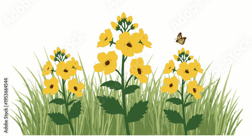 Yellow flowers in green grass field.