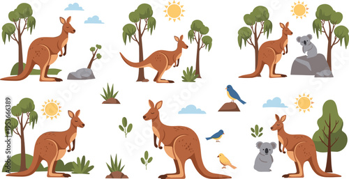 Australian wildlife kangaroo set with nature elements, trees and birds, cute outback animals collection vector illustration bundle