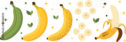 Banana stages collection from green to ripe and peeled with slices, fresh tropical fruit ripening process concept vector illustration set isolated