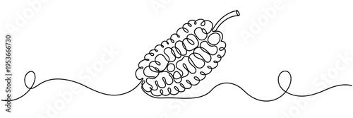 Custard apple positioned on continuous line across white background, none editable strokes