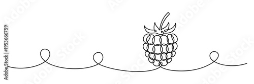 Raspberry positioned on continuous line art composition, none editable strokes