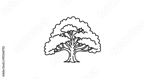 Tree with Thick Trunk Branches.