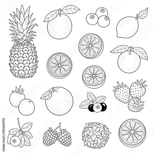 Large collection of fruit line art icons for coloring book design