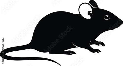 Black and white cute rabbit bunny vector illustration isolated on white background