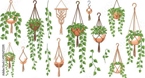 Hanging plants in macrame holders set, indoor greenery decor collection, trailing houseplants and boho style vector illustration bundle